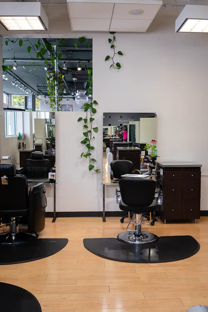 A modern salon interior with empty styling chairs, mirrors, black cabinets, and green vines hanging along the white wall creates a relaxing spa-like atmosphere. - Ihloff Salon and Day Spa