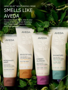 Four Aveda hand creme tubes—Rosemary Mint, Beautifying, Cherry Almond, and Shampure—stand upright in a row against leafy greenery, with product descriptions visible on each tube. Each creme captures Aveda’s iconic aromas, inviting you to experience these beloved scents in a nourishing new way. - Ihloff Salon and Day Spa